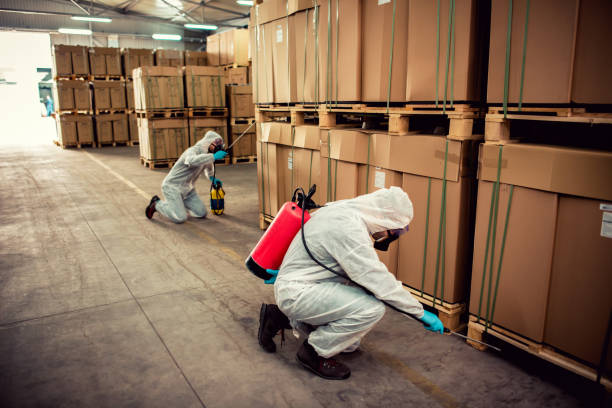 Flea Control Services in Columbia, MO