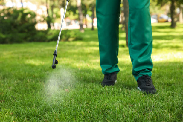 Best Wasp Removal Services  in Columbia, MO