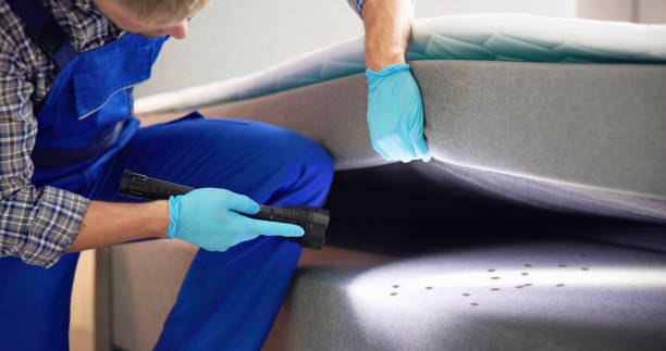 Best Affordable Pest Control Services  in Columbia, MO